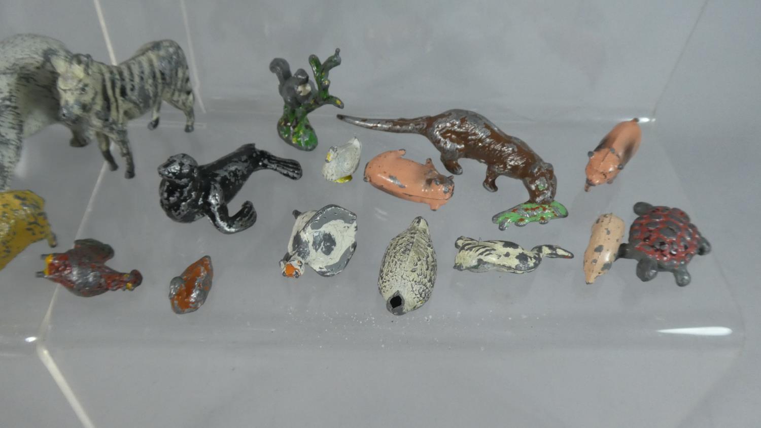 A Collection of 39 Cold Painted Metal (Playworn) Zoo Animals and Birds, (Some AF) to Include - Image 4 of 5