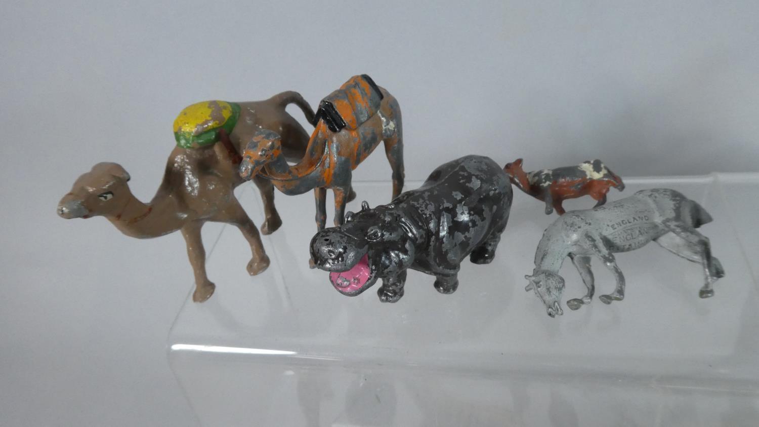 A Collection of 39 Cold Painted Metal (Playworn) Zoo Animals and Birds, (Some AF) to Include - Image 2 of 5