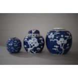 A Chinese Blue and White Floral Pattern Vase of Globular Form Together with Two Chinese Prunus