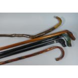 A Collection of Five Walking Sticks to Include Examples with Dog, Duck and Horse Head Handles