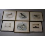A Set of Four Bird Prints and Two Engravings