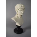 A Parian Style Resin Bust of Eros on Turned Ebonised Socle, 26cms High