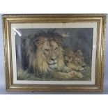 A Large Gilt Framed Pears Print of Lion and Lioness After Sir Edwin Landseer, 67 x 48cms