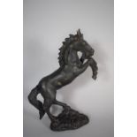 A Bronze Study of a Rearing Mule, 20cms High