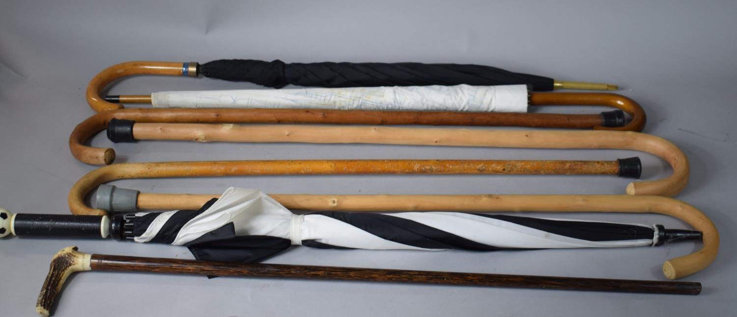 A Collection of Walking Sticks and Umbrellas to Include Bone Handled Example