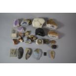 A Collection of Various Mineral Samples, Fossils Etc.