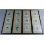 Four Picture Frames Each Containing Three Prints of Various Birds, Each 51cm High