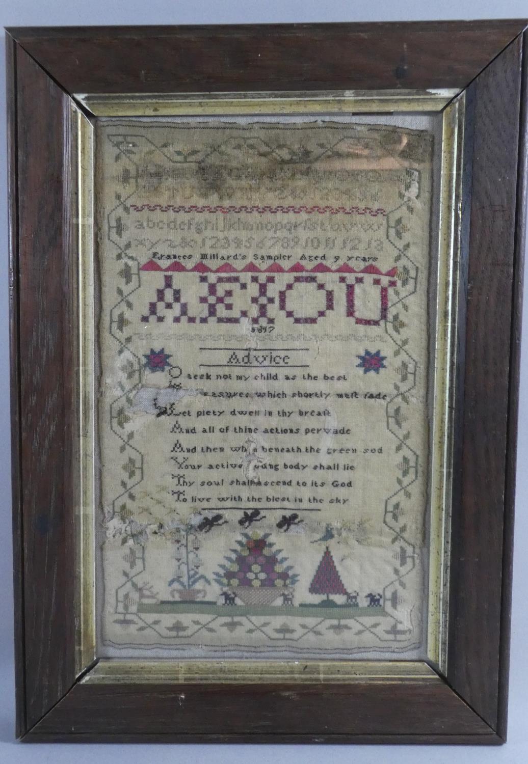 A Framed Early 19th Century Silk Sampler, "Frances Millard's Sampler Aged 9 Years 1817", Some