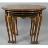 A Mid 20th Century Oval Nest of Three Walnut Tables, Claw and Ball Feet, The Largest 62cm Wide