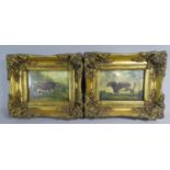 A Pair of Reproduction Gilt Framed Prints of Shorthorn Cattle, Each Frame 28cm Wide