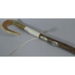 A Horn Handled Shepherd's Crook 128cm Long