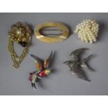 A Collection of Various Brooches to Include Parrot Example