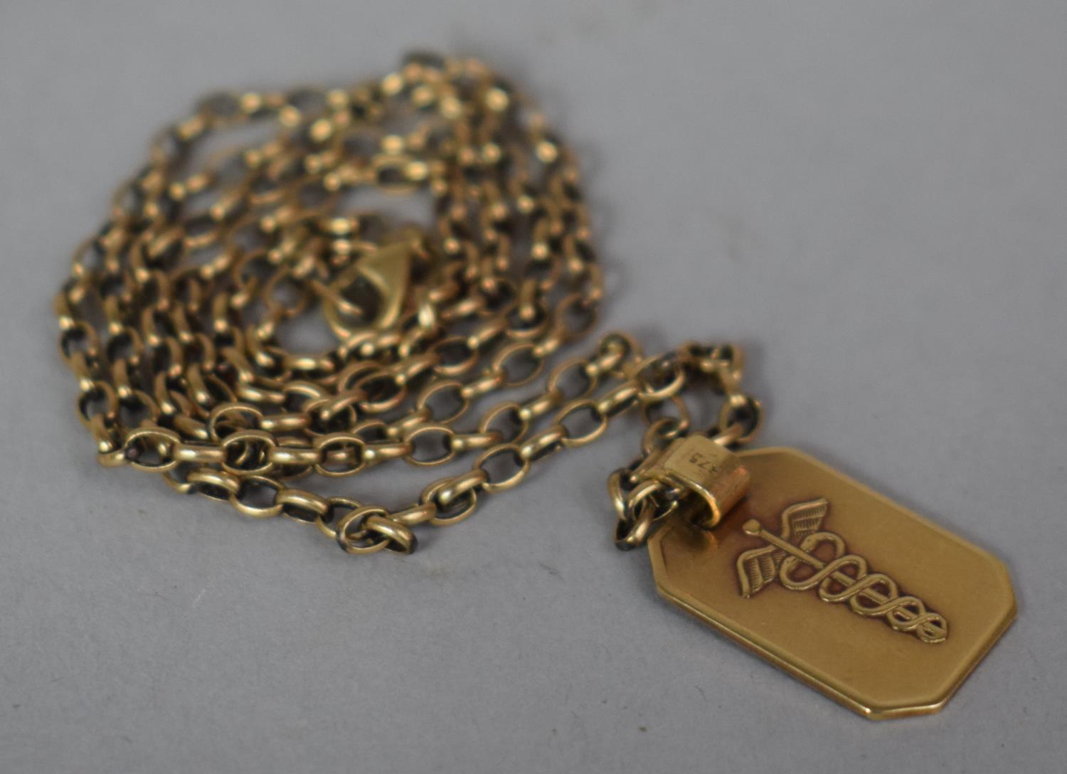 A 9ct Gold Chain and Pendant, 8.2g