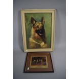 A Framed Oil on Canvas, German Shepherd, 45cm High and a Print of Fox Terriers