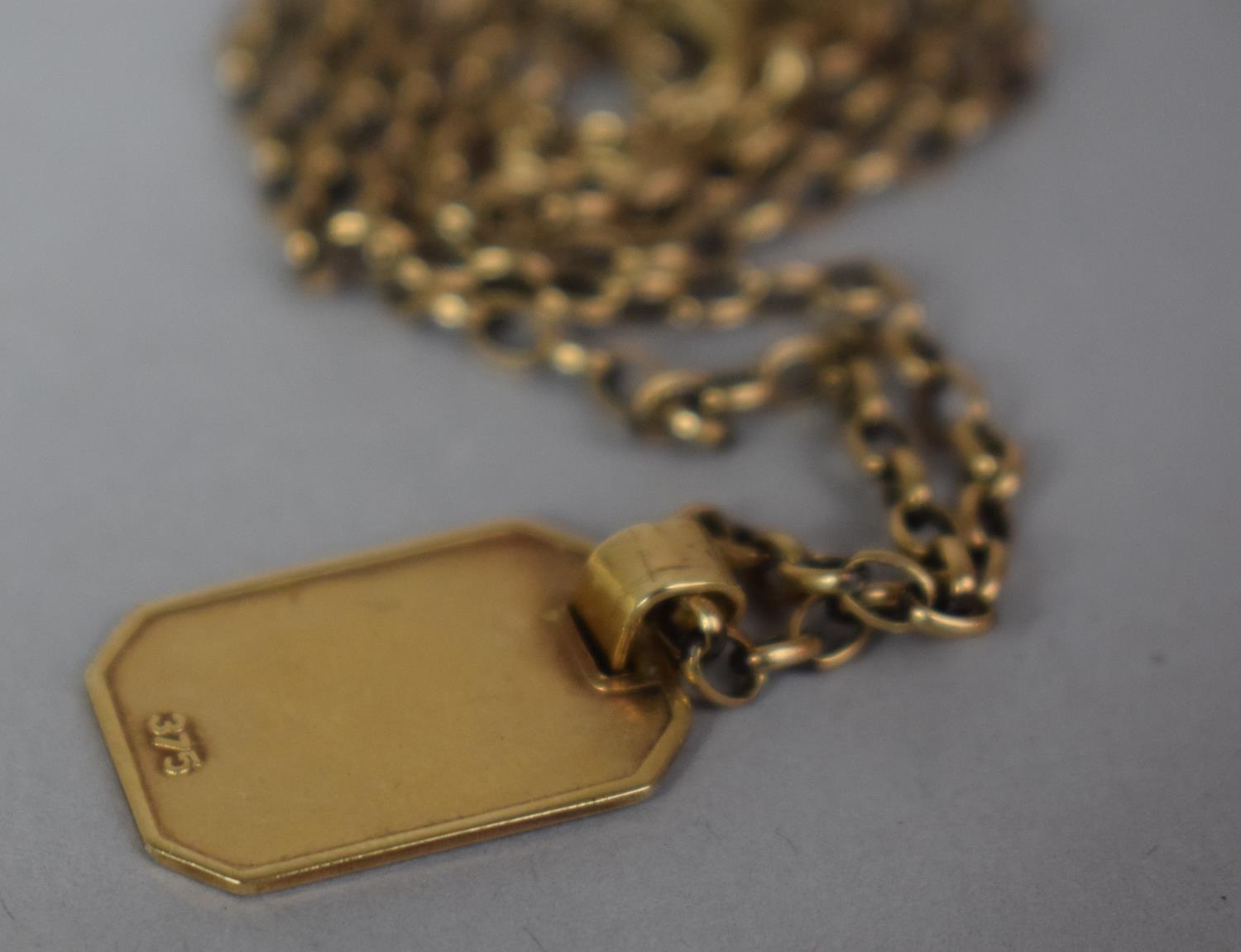 A 9ct Gold Chain and Pendant, 8.2g - Image 3 of 3