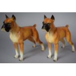 A Pair of Boxer Dog Ornaments, 18.5cm High