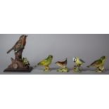 Four Beswick Birds (Greenfinch with Beak AF) Together with a Robin Ornament