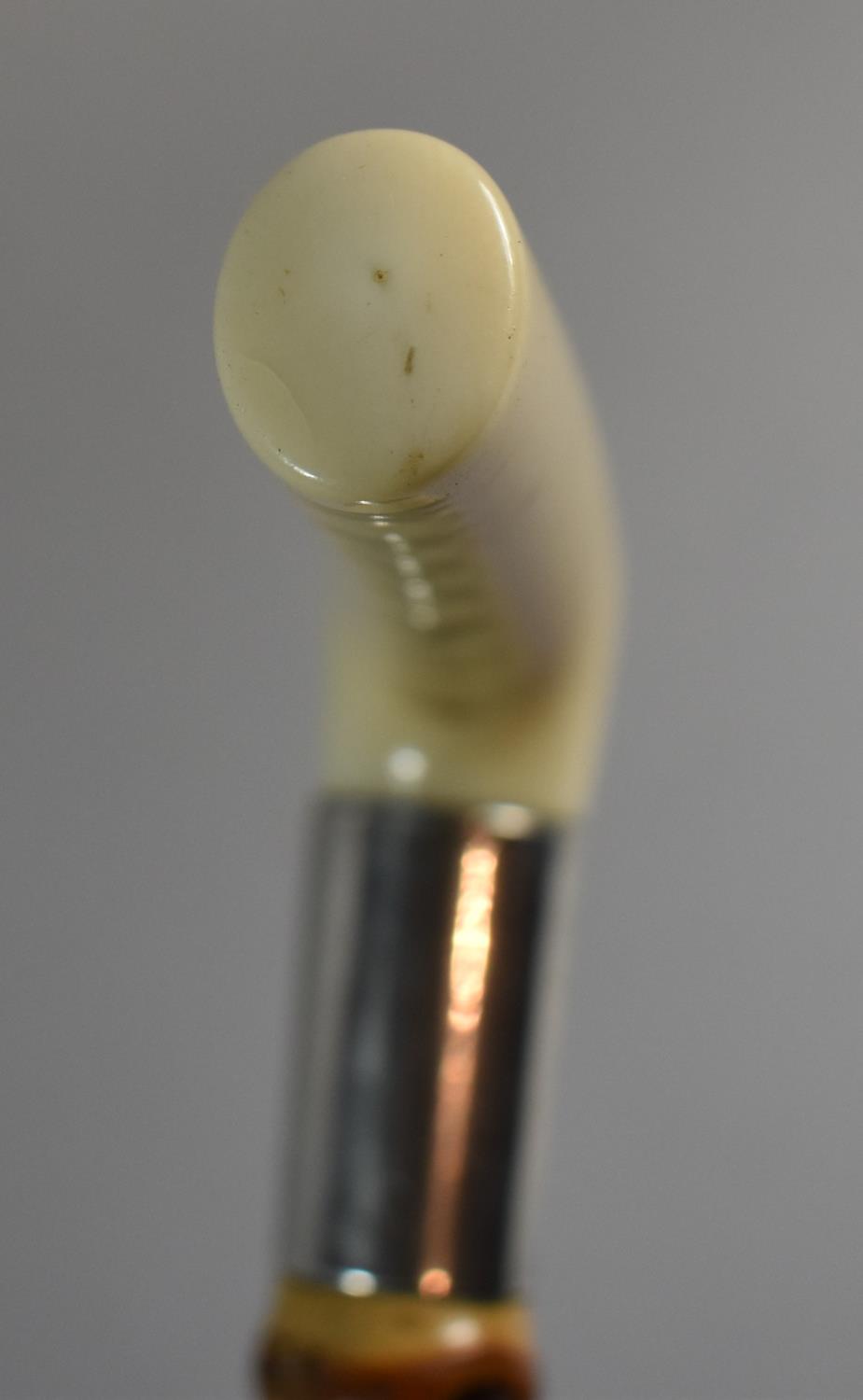 A Silver Mounted Marine Ivory Handled Thornwood Walking Stick Inscribed A Broadbent, Huddersfield - Image 5 of 5