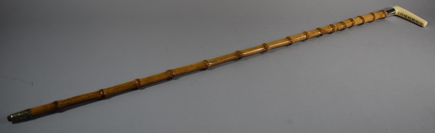 A Silver Mounted Marine Ivory Handled Thornwood Walking Stick Inscribed A Broadbent, Huddersfield