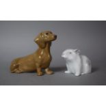 A Szeiler Dachshund and a Continental Study of a Hamster
