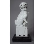 An Oriental Blanc De Chine Study of a Fu/Temple Dog, Mounted on Wooden Plinth (Perhaps Once