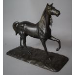 A Modern Patinated Bronze Study of a Stallion Set on Naturalistic Base, 34cm wide