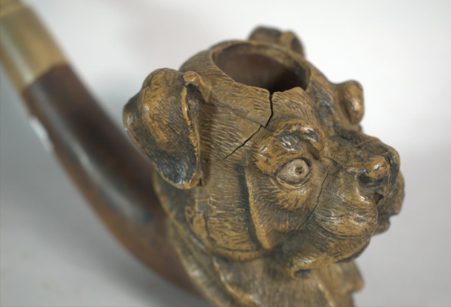 A Novelty Vintage Carved Pipe in the Form of a Bulldog, 19cms Long - Image 2 of 3