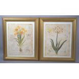 A Pair of Modern Gilt Framed Botanical Prints, 39cm wide