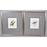 A Pair of Framed Bird Prints, Fames 57cm x 64cm
