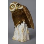 A Spode Little Owl