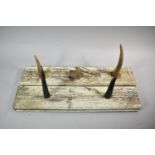 Two Wall Mounting Horn and Bone Coat Hooks, Each 58cm wide