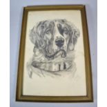 A Framed Pen and Ink Drawing of a St. Bernard Dog, Dated 1916, 25cm wide