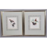 A Pair of Framed Butterfly Prints, Fames 55x48cm