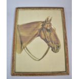 A Framed Watercolour Depicting Hunter with Bridle, 26cm high