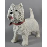 A Large Composition Study of a West Highland White Terrier, 46cm Long