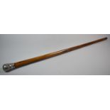 A Silver Topped Walking Cane, 89cm long