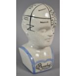 A Reproduction Ceramic Phrenology Bust, 20cm high