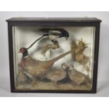 A Victorian Cased Taxidermy Diorama Depicting Birds and Red Squirrel, 76cm wide