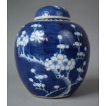 A 19th Century Chinese Blue and White Prunus Pattern Lidded Ginger Jar, with Double Circle Mark to