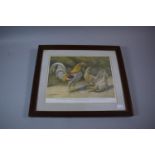 A Framed "Feathered World" Print, Old English Game, 26.5cm wide
