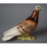 A Beswick Pigeon, no.1383, 14cm high