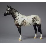 A Beswick Appaloosa Horse, 20cm high