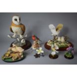 A Collection of Bird Ornaments to include Leonard Barn Owl, Aynsley Resin Ducks, Resin Owl Group,