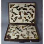 A Cased Entomologists Collection of Various Butterflies