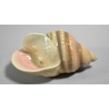 A West German Pottery Seashell Wall Pocket, Perfect Condition, 14cms Wide