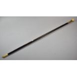 A 19th Century Ivory Topped and Tipped Ebony Cane, 90cms Long