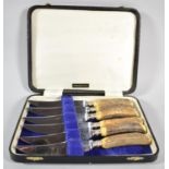 A Cased Set of Six Piddock Steak Knives with Bone Handles