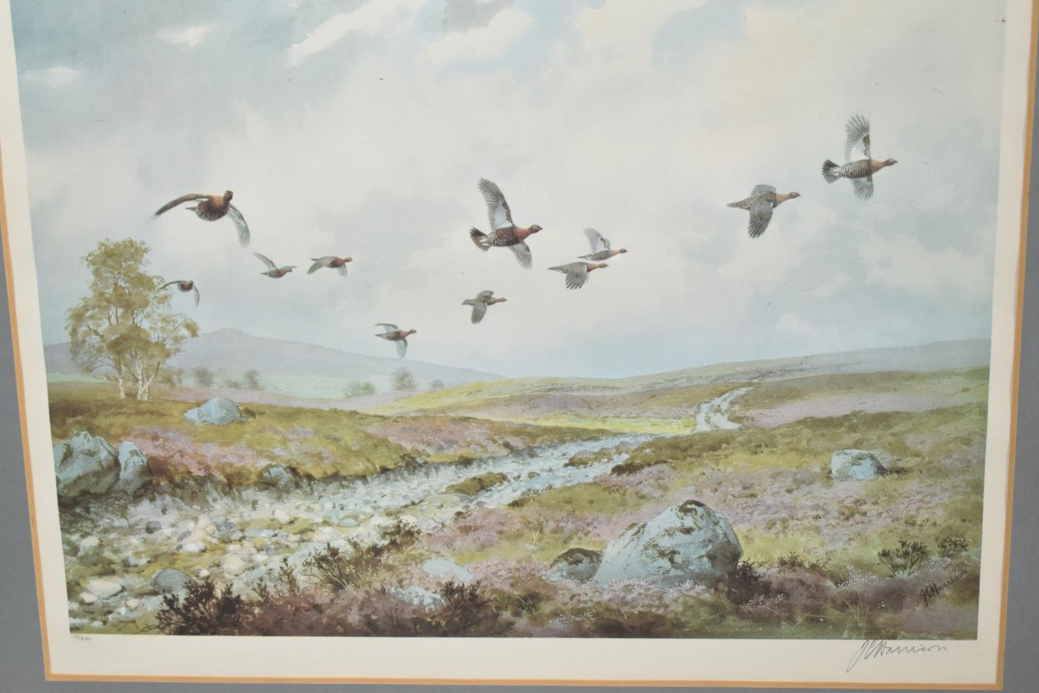 A Pair of Framed J Harrison Limited Edition Prints of Grouse in Flight, Both Signed by the Artist - Image 2 of 3