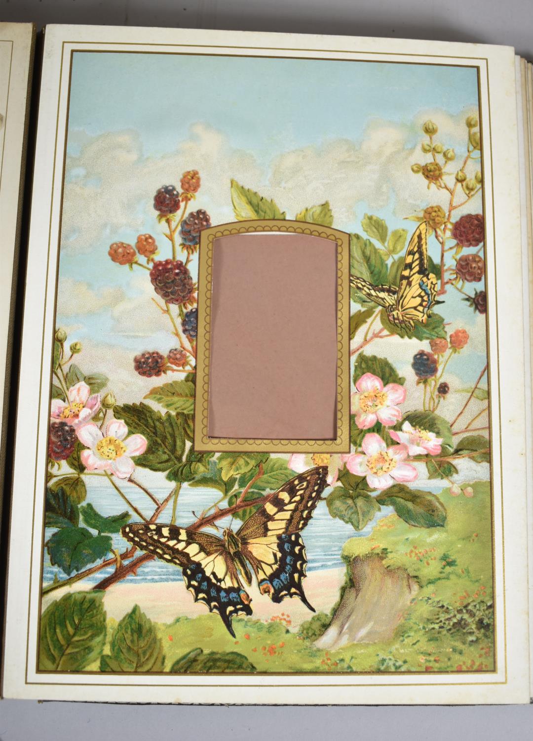 Two Victorian Photograph Albums and Contents, "The Butterfly Album" with Coloured Plates and a - Image 5 of 6
