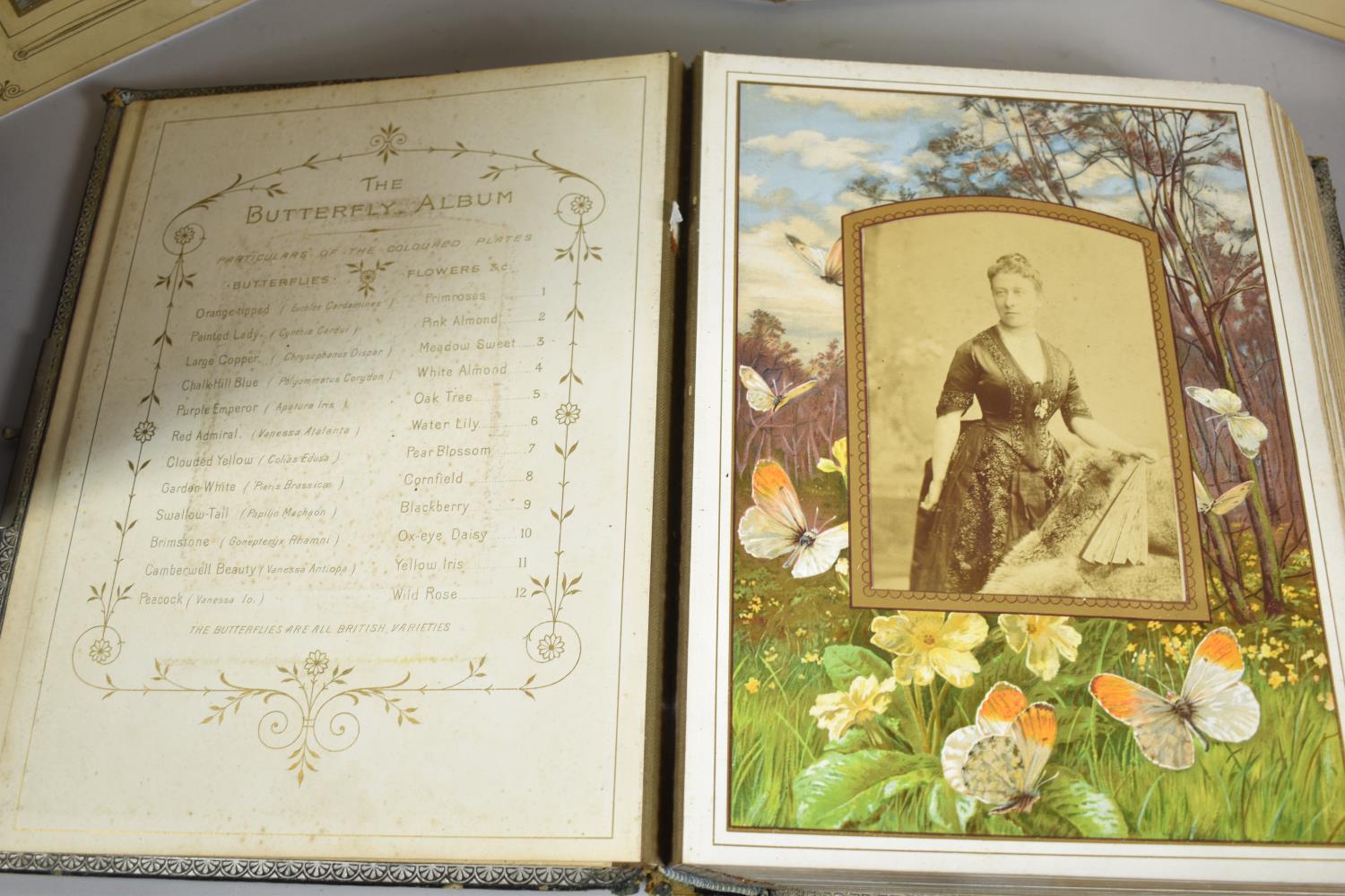 Two Victorian Photograph Albums and Contents, "The Butterfly Album" with Coloured Plates and a - Image 2 of 6